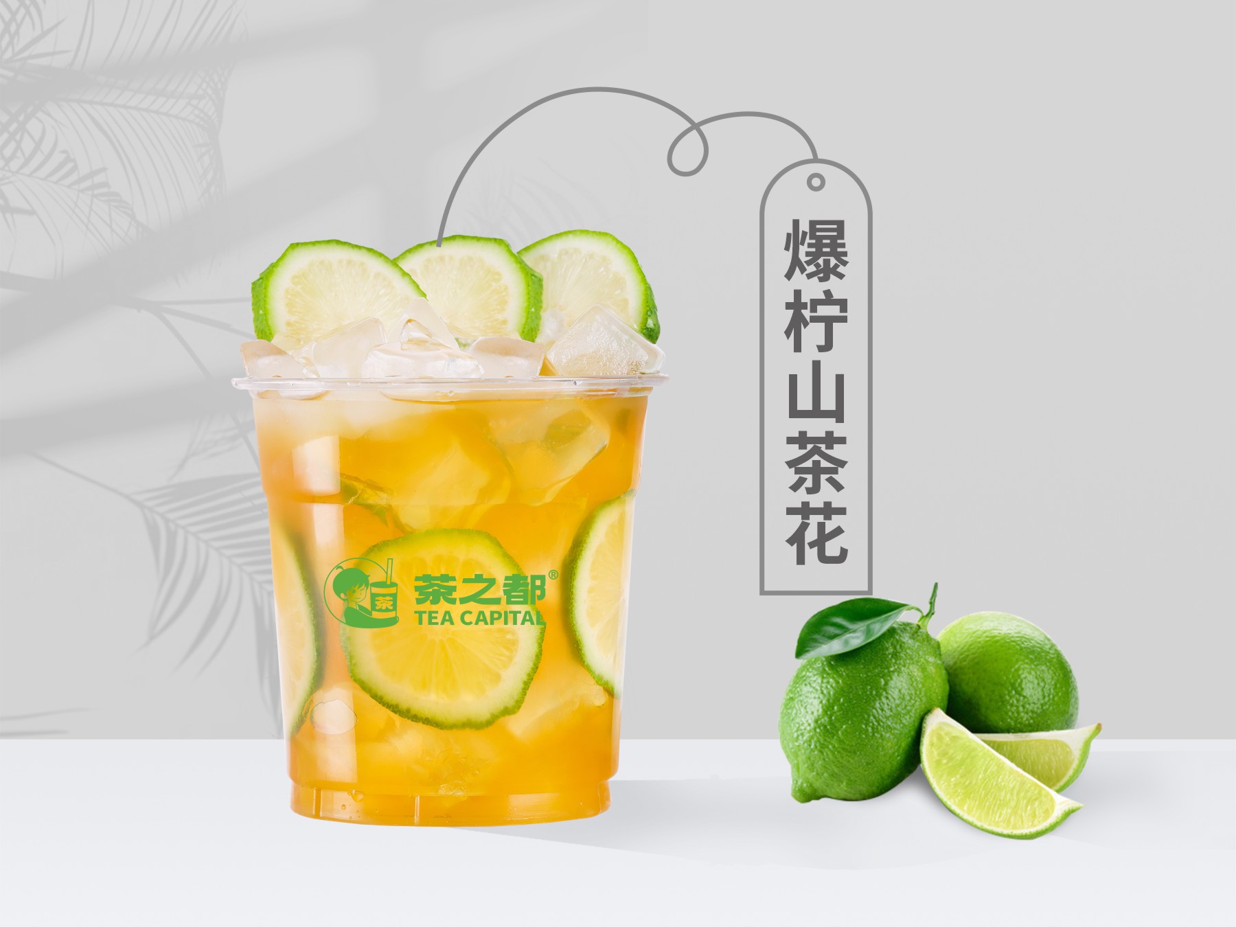 爆柠山茶花